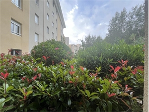 t2 à la location -   20200  BASTIA, surface 39 m2 location t2 - UBI474491306